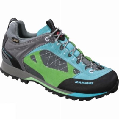 Womens Ridge Low GTX Shoe